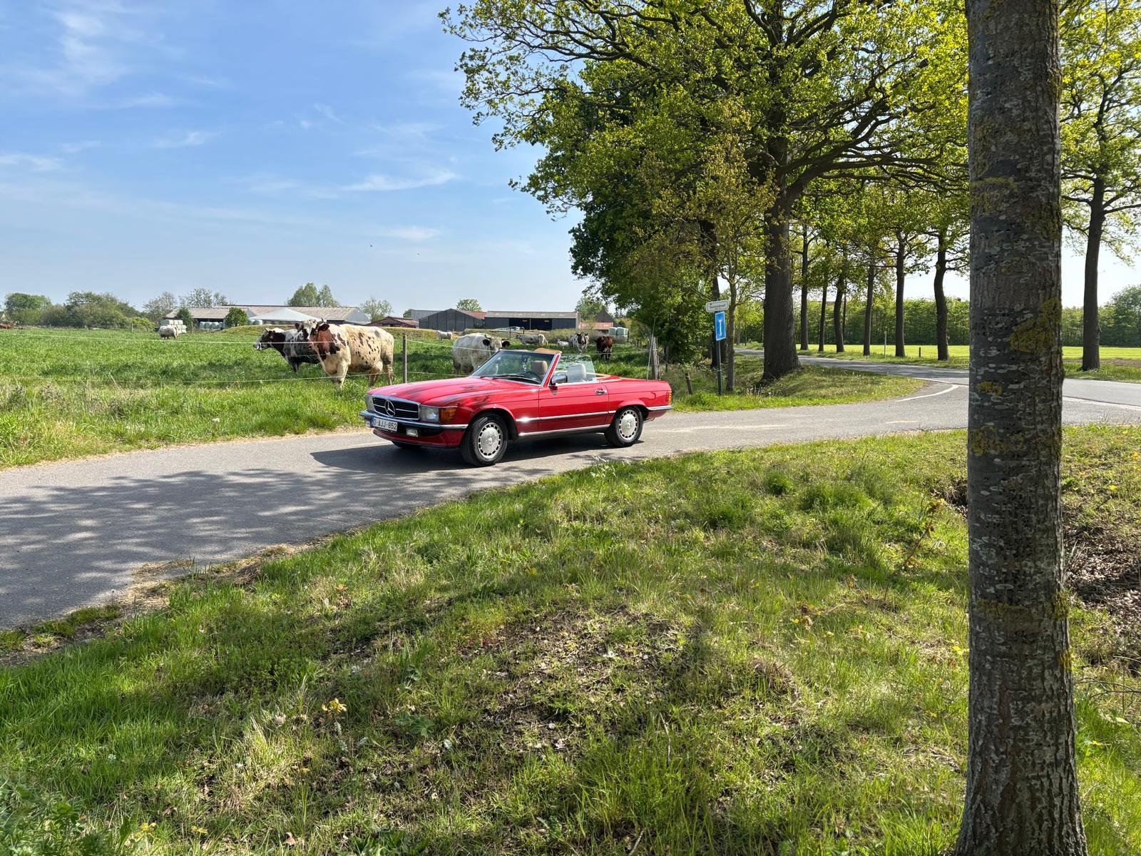 Mercedes-Benz 560 SL (1986) – Concoursstaat - €43 000 - Afbeelding 13